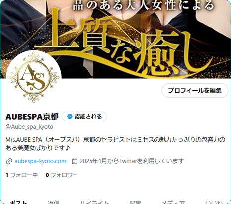 公式X